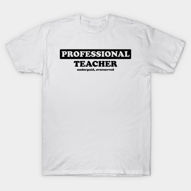 Professional Teacher - Humor T-Shirt by albinochicken